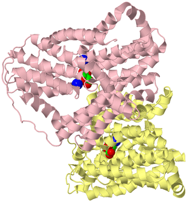 Image Biological Unit 2