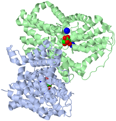 Image Biological Unit 1