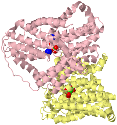 Image Biological Unit 2