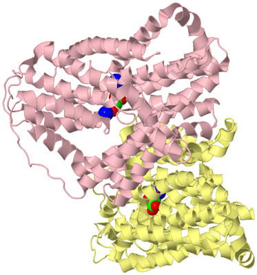 Image Biological Unit 2