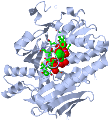 Image Biol. Unit 1 - sites