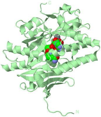 Image Biological Unit 2