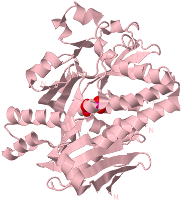 Image Biological Unit 3