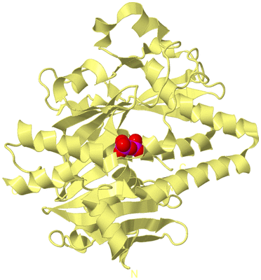 Image Biological Unit 4