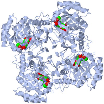 Image Biological Unit 1