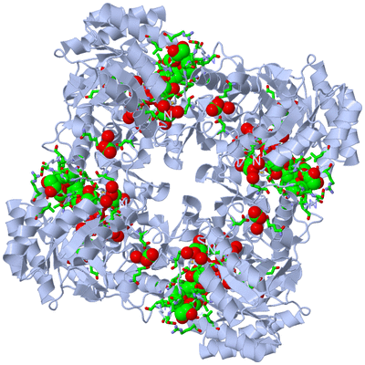 Image Biol. Unit 1 - sites