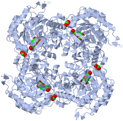 Image Biological Unit 1