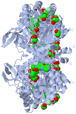 Image Biological Unit 1