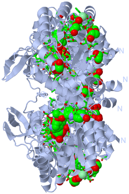 Image Biol. Unit 1 - sites