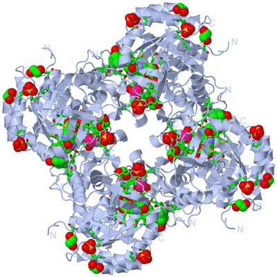 Image Biol. Unit 1 - sites