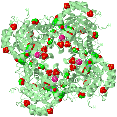 Image Biological Unit 2