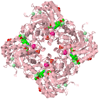 Image Biological Unit 3