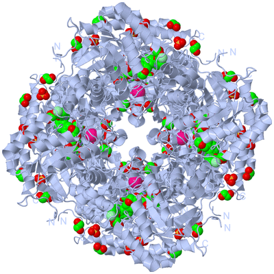 Image Biological Unit 4