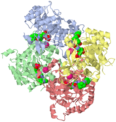 Image Biological Unit 1