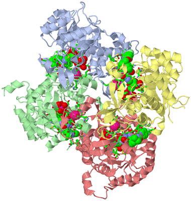 Image Biol. Unit 1 - sites