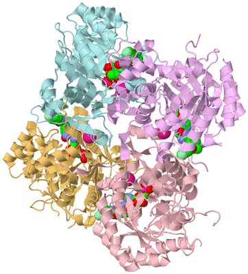 Image Biological Unit 2