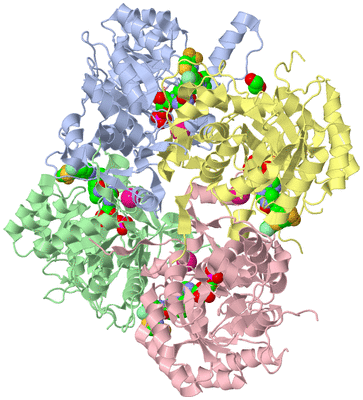 Image Biological Unit 1