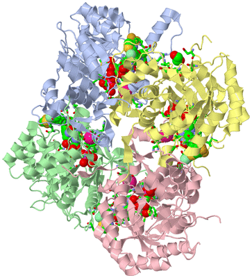 Image Biol. Unit 1 - sites