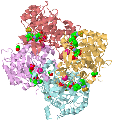 Image Biological Unit 2