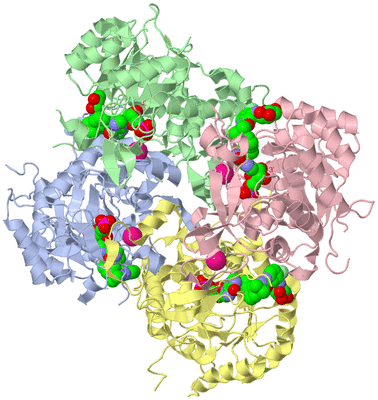 Image Biological Unit 1