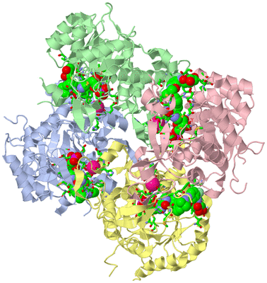 Image Biol. Unit 1 - sites