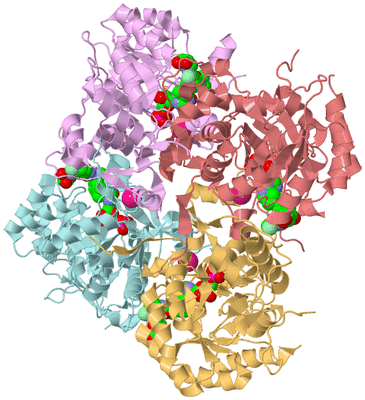 Image Biological Unit 2