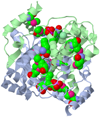 Image Biological Unit 1