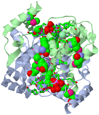 Image Biol. Unit 1 - sites