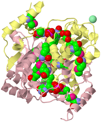 Image Biological Unit 2