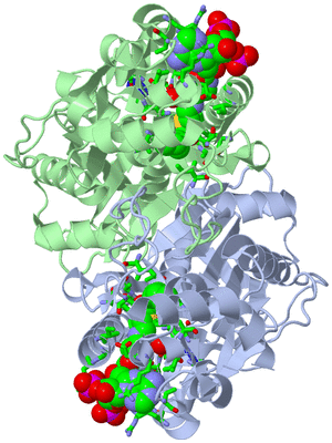 Image Asym./Biol. Unit - sites