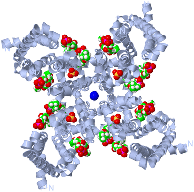 Image Biological Unit 1