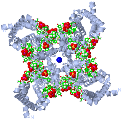 Image Biol. Unit 1 - sites