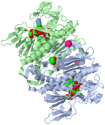 Image Asym./Biol. Unit