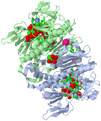 Image Asym./Biol. Unit - sites