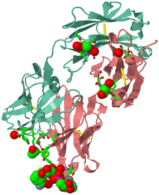 Image Biol. Unit 1 - sites