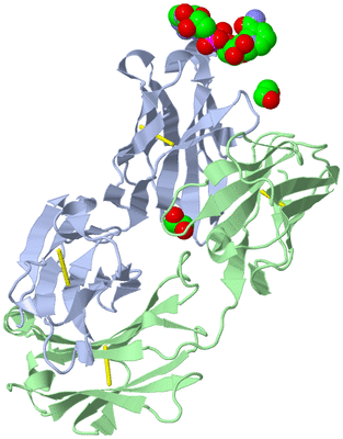 Image Biological Unit 2