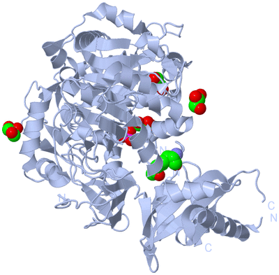 Image Biological Unit 1