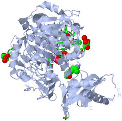 Image Biol. Unit 1 - sites