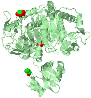 Image Biological Unit 2