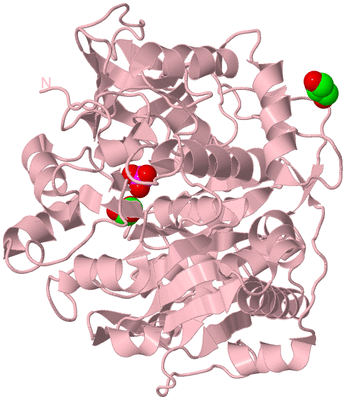 Image Biological Unit 3