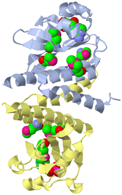 Image Biological Unit 1