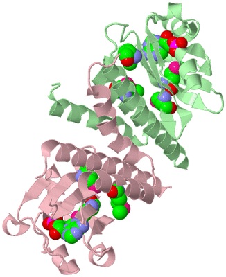 Image Biological Unit 2