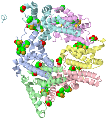 Image Asym./Biol. Unit