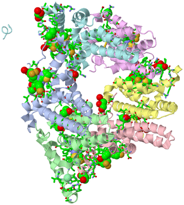 Image Asym./Biol. Unit - sites