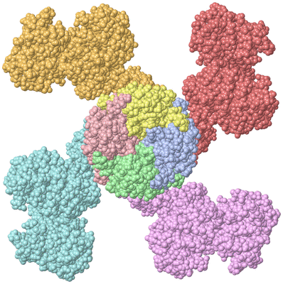 Image Asym./Biol. Unit