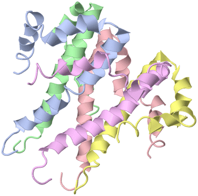 Image NMR Structure - model 1