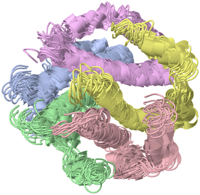 Image NMR Structure - all models