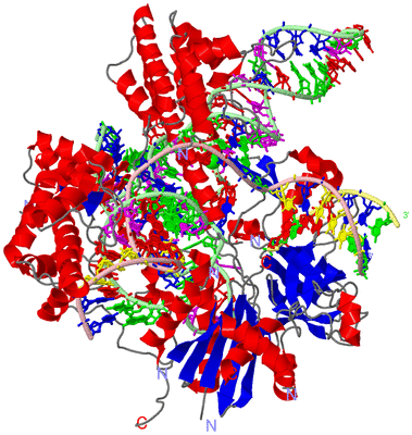 Image Asym./Biol. Unit