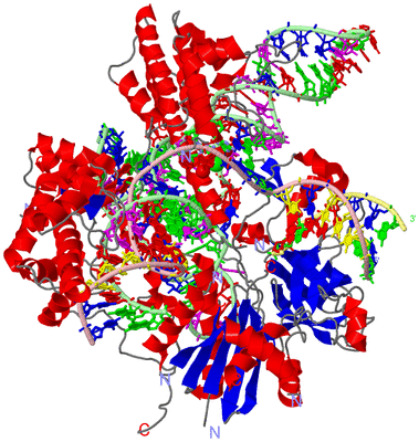 Image Asym./Biol. Unit - sites