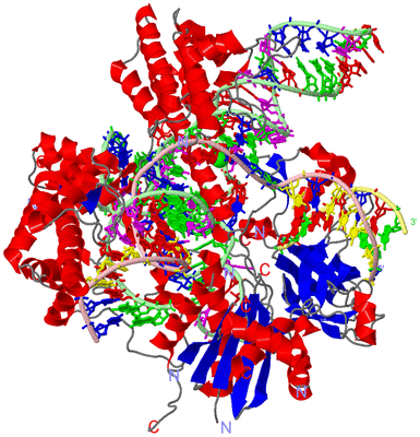 Image Asym./Biol. Unit